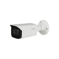 IPC-HFW4239T-ASE-NI-0360B Dahua 2MP WDR Full-color Starlight Mini Bullet Network Kamera