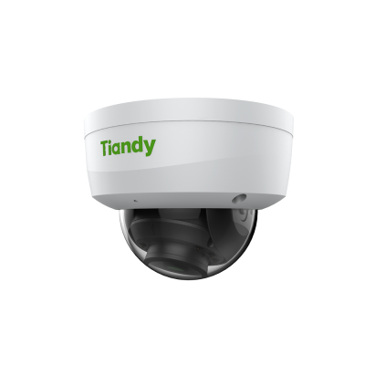 TC-C32KS SPEC-I3-E-Y-M-H Tiandy 2MP Starlight Mini IR Dome Kamera